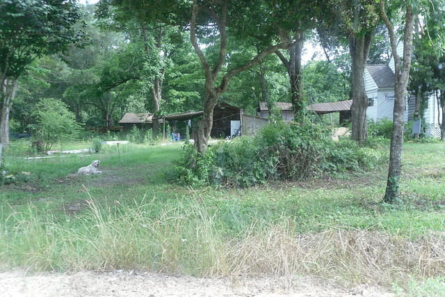 SDC10435
