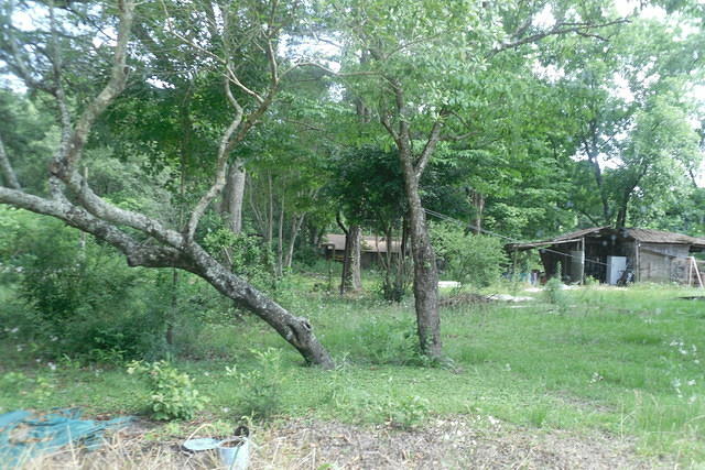 SDC10436