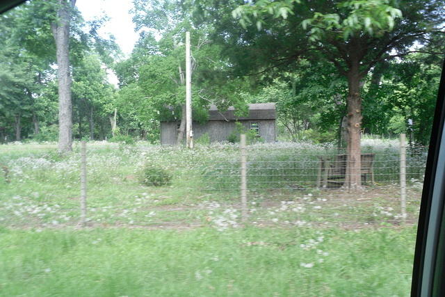 SDC10438