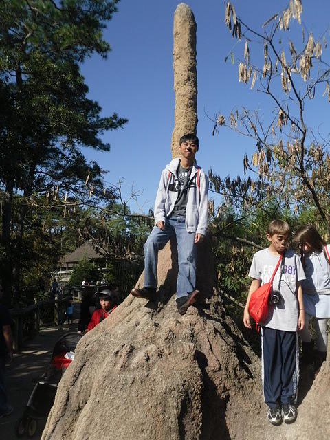 SDC11120