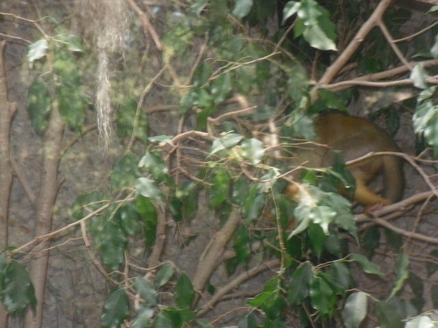SDC11159