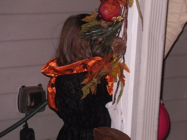 SDC11253