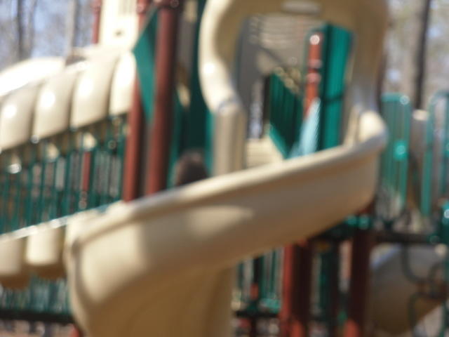 SDC11842 001