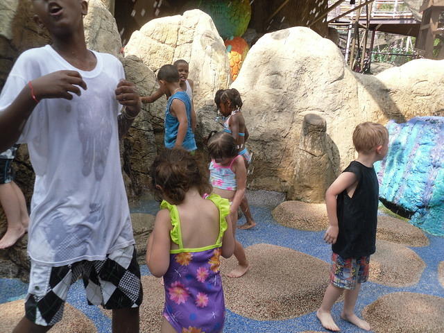SDC12560