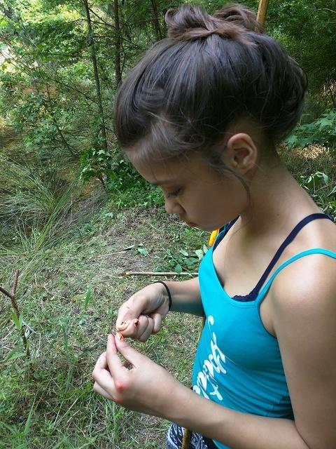 IMG 20150510 164130