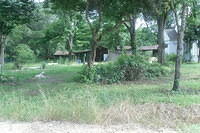 SDC10435