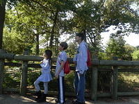SDC11133