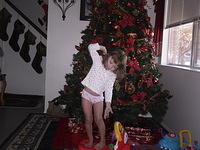 pre christmas 2010