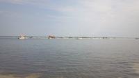 2011-08-14 10-15-56 707