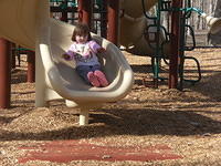 SDC11843 001