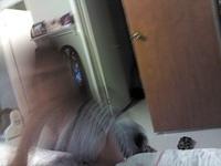 IMG 20120303 125752