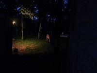 20130720 201143-edited