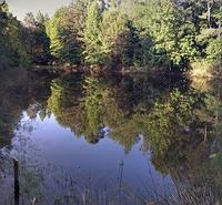 IMG 20150507 183029-PANO