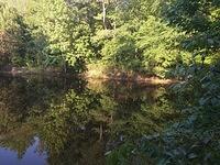 IMG 20150507 183029