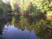 IMG 20150507 183035