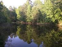 IMG 20150507 183037