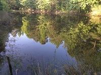 IMG 20150507 183039