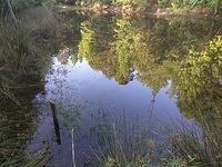 IMG 20150507 183042