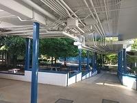 IMG 20150603 084124