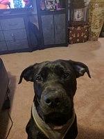 IMG 20180213 194223