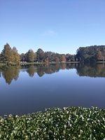 IMG 20181118 121303